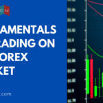 fundamentals of trading on forex market featured
